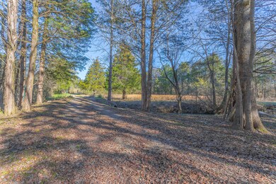 45 S Cedar Lane HD