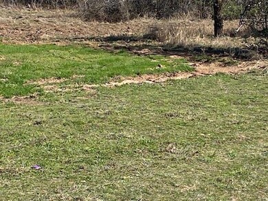 1203 Sandy Ln, Weatherford, TX 76088 - photo 3