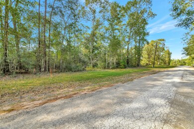 100 Virginia Creek, Coldspring, TX 77331 - photo 4