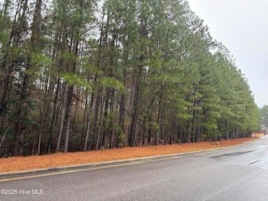 40 Chestertown Dr, Southern Pines, NC 28374 - photo 2