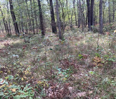 PAR 6 Cleveland Dr W, Lilley Township, MI 49309 - photo 3