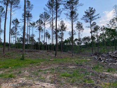 0 Hwy 19 N unit 21-317, Philadelphia, MS 39350 - photo 2