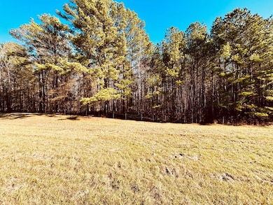 Hwy 12, Durant, MS 39063 - photo 7