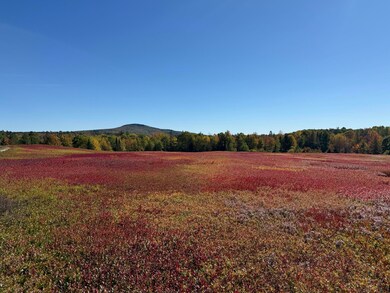 MAP31LOT29 Land-Perkins, Blue Hill, ME 04614 - photo 6