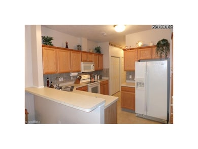 Equipped Kitchen with ceramic back splash.