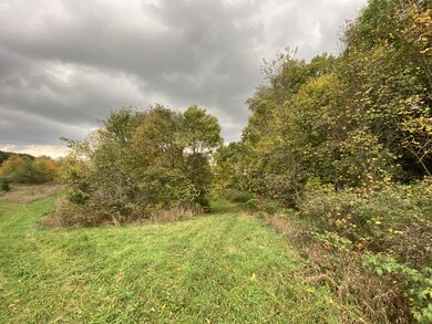 IMG_6113