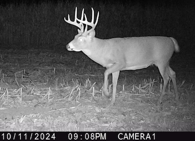 00 Union Grove Rd, Greenville, IL 62246 - photo 3