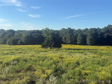 29110 S 321st West Ave, Bristow, OK 74010 - photo 5