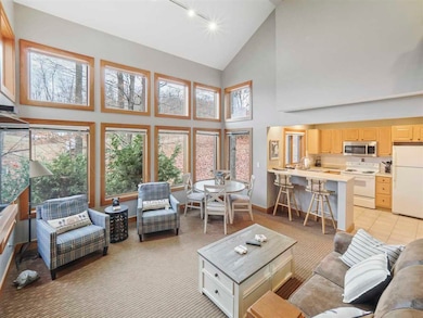 2006 Morning Dove unit 696, Boyne Falls, MI 49713 - photo 4