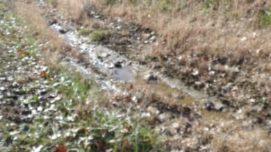 0 Cheyenne Dr unit RTC2769143, Jamestown, TN 38556 - photo 2