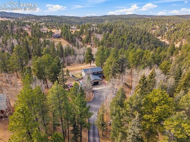 233 Pennsylvania Ave, Woodland Park, CO 80863 - photo 5