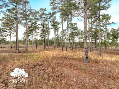 0 Reverend Jw Carter Rd, Manning, SC 29102 - photo 2