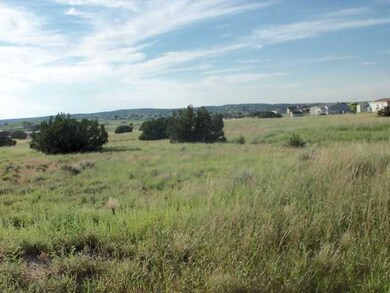 0 Off Mountain View Cir unit 114821, Taylor, AZ 85939 - photo 2