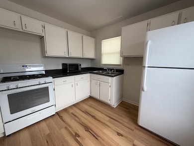 unlisted-address, Bolingbrook, IL 60440 - photo 3