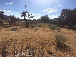 0 Indio Ave unit OC17204566, Yucca Valley, CA 92284 - photo 5