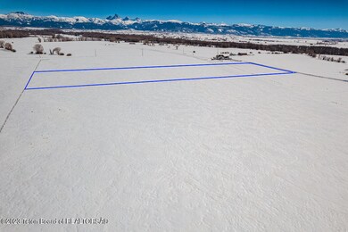 R-G Ranch Finnegan -2