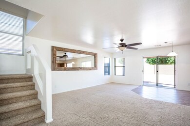 3 - Desert Holly ST