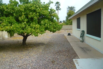 Citrus Tree