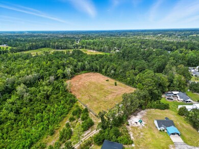 TBD Highway 548, Conway, SC 29527 - photo 5