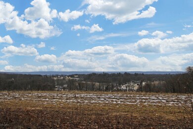 175 Shady Maple Ln, Kunkletown, PA 18058 - photo 6