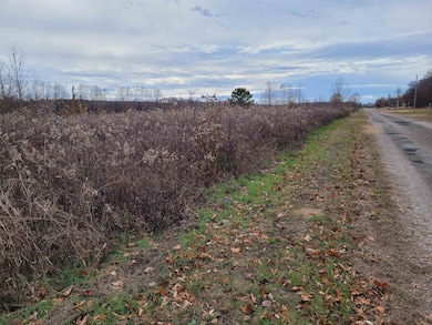 01 Col James Hardin Rd, Clifton, TN 38372 - photo 7