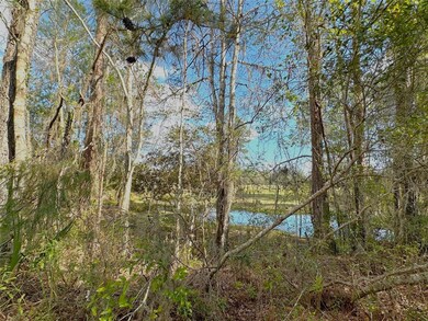 000 State Rd, Hawthorne, FL - photo 7