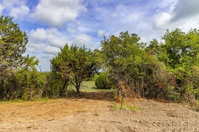 TBD 8 Ox Mill Creek Rd, Weatherford, TX 76087 - photo 5