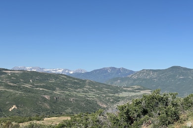 3135 E Cougar Moon Way, Kamas, UT 84036 - photo 3