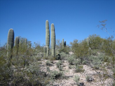 IMG_1162.jpg