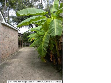 Long Driveway to Rear Carport that has been conver