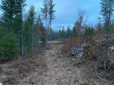 00 S Emma Ave, Pleasant Plains Township, MI 49304 - photo 7