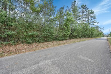 14761 Edwards Rd, Montgomery, TX 77316 - photo 2