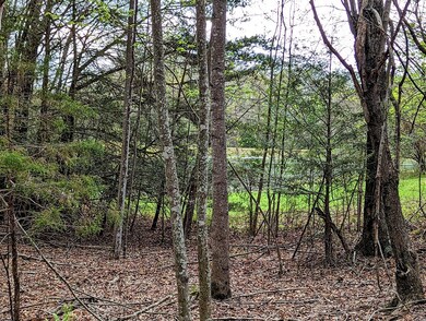 Lot 762 Surrey Ln, Spencer, TN 38585 - photo 5