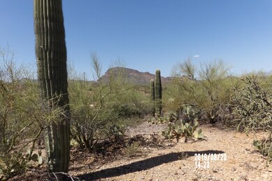 102_6853