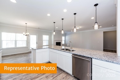 12155 Muscadine Ct, Midland, NC 28107 - photo 7