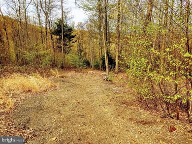 0 Bison Ridge Ln unit PAPY2002416, Newport, PA 17074 - photo 4