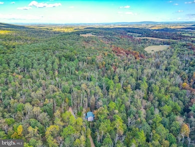 579 Mossy Oak Ln, Mifflinburg, PA 17844 - photo 4