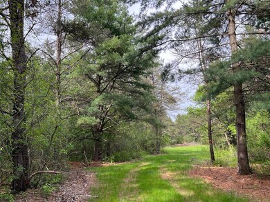 0 120th Street St unit 6464858, Chippewa Falls, WI 54729 - photo 6