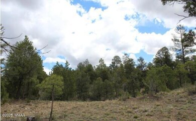 Picture5