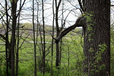 26 AC Hubred Ln, Cottage Grove, WI 53521 - photo 5