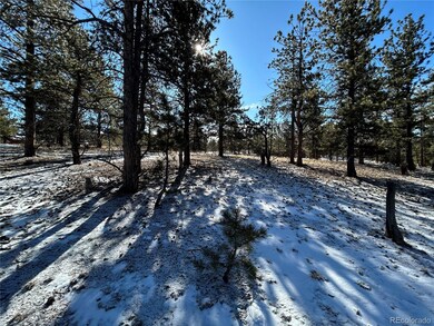 2146 Wagon Wheel Rd unit 353, Hartsel, CO 80449 - photo 4
