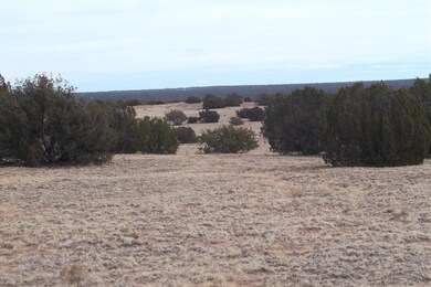 view of subject