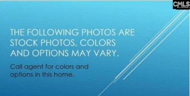 105 Monroe Preserve Ln, Chapin, SC 29036 - photo 4