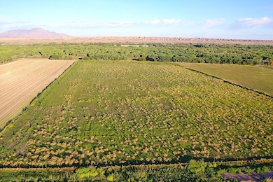 0 Zia Ln unit 24563784, Veguita, NM 87062 - photo 4