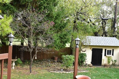 Rear yard view