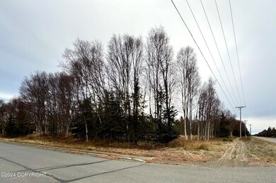 IMG_2739