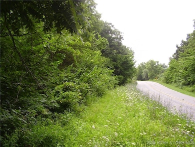 0 State Hwy E, Montreal, MO 65591 - photo 5