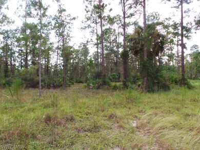 2111 Truman Ave, Alva, FL 33920 - photo 3