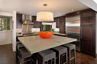 100 N 8th St unit 4, Aspen, CO 81611 - photo 6