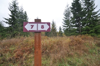 8 Thimbleberry Ln SE, Yelm, WA 98597 - photo 2